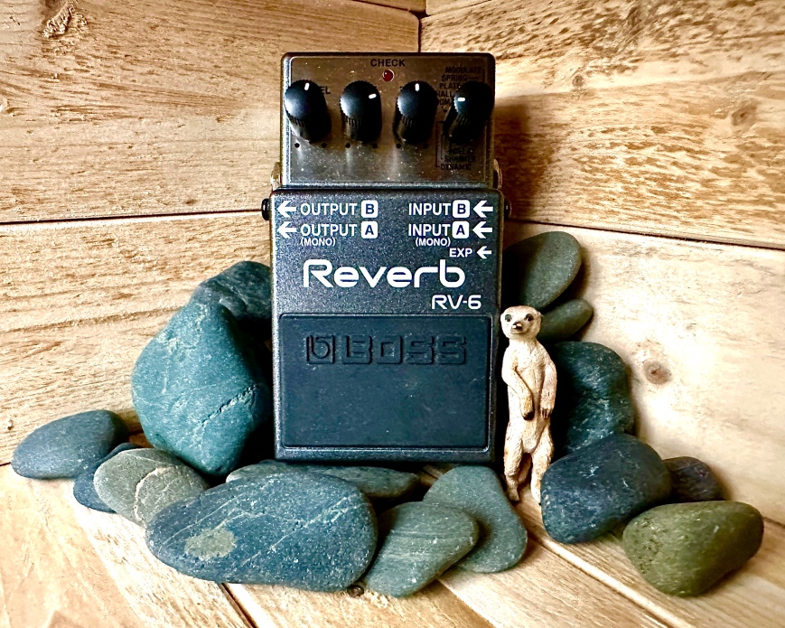 Review | Boss RV-6 Digital Reverb